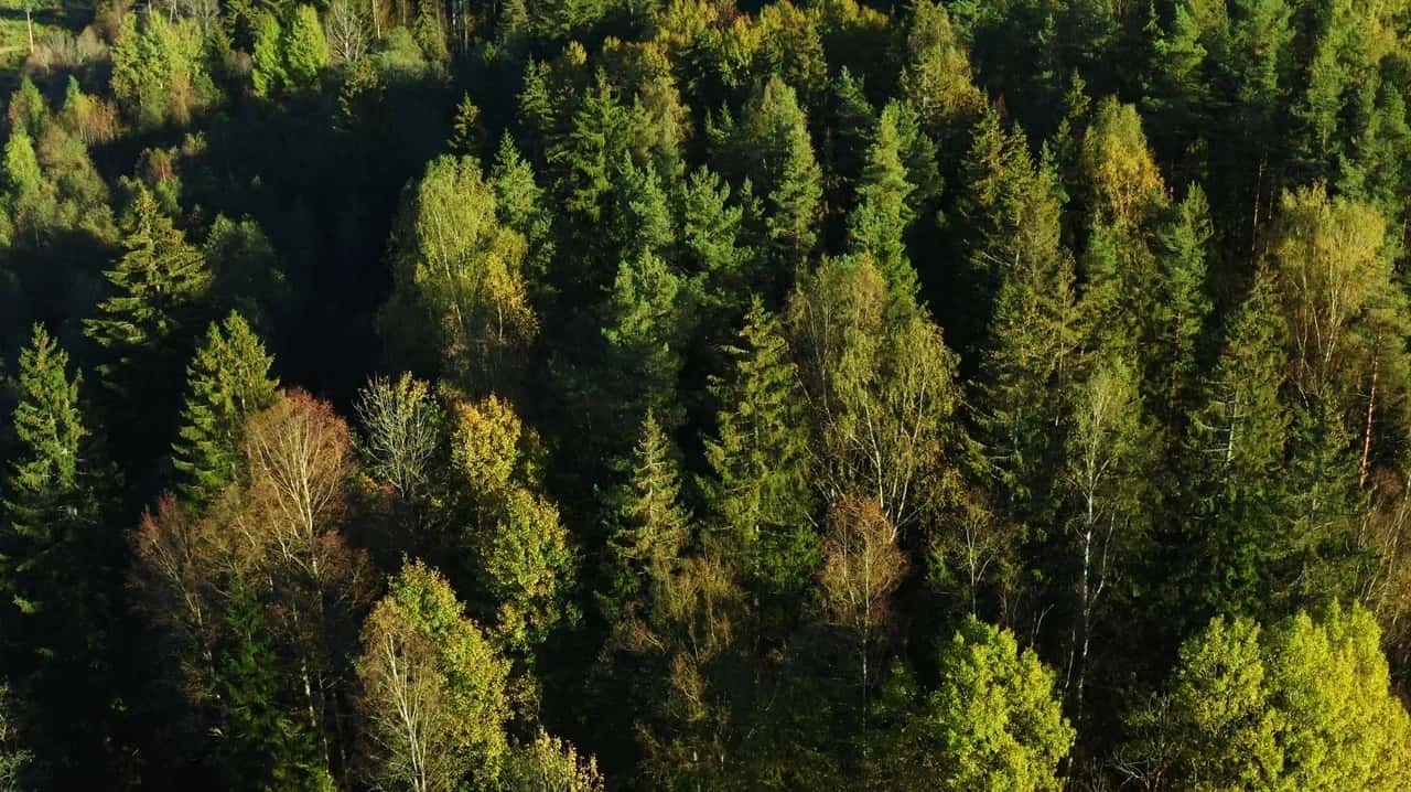 ПРОВЕДЕНЫ ДОРОГИ - МОЖНО СРАЗУ СТОИТЬ ДОМ