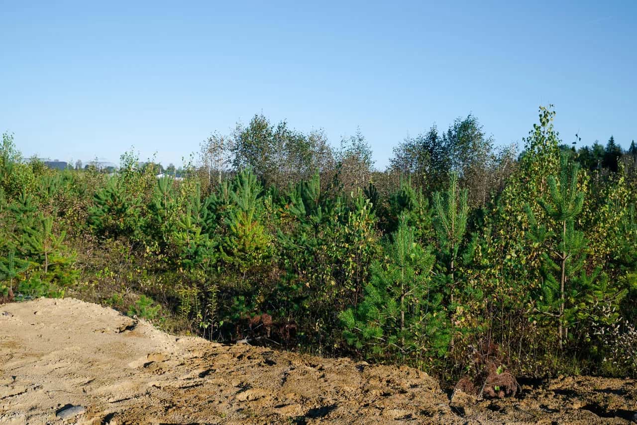 ПРОВЕДЕНЫ ДОРОГИ - МОЖНО СРАЗУ СТОИТЬ ДОМ